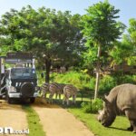 Cek Yuk! Bali Safari Tiket 2025