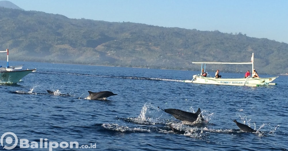 Sewa Perahu Jukung di Lovina