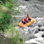 Sungai Ayung: Wisata Rafting Seru & Konservasi Alam di Bali