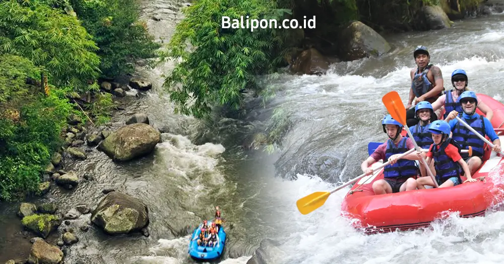 Petualangan Seru Rafting di sungai Ayung